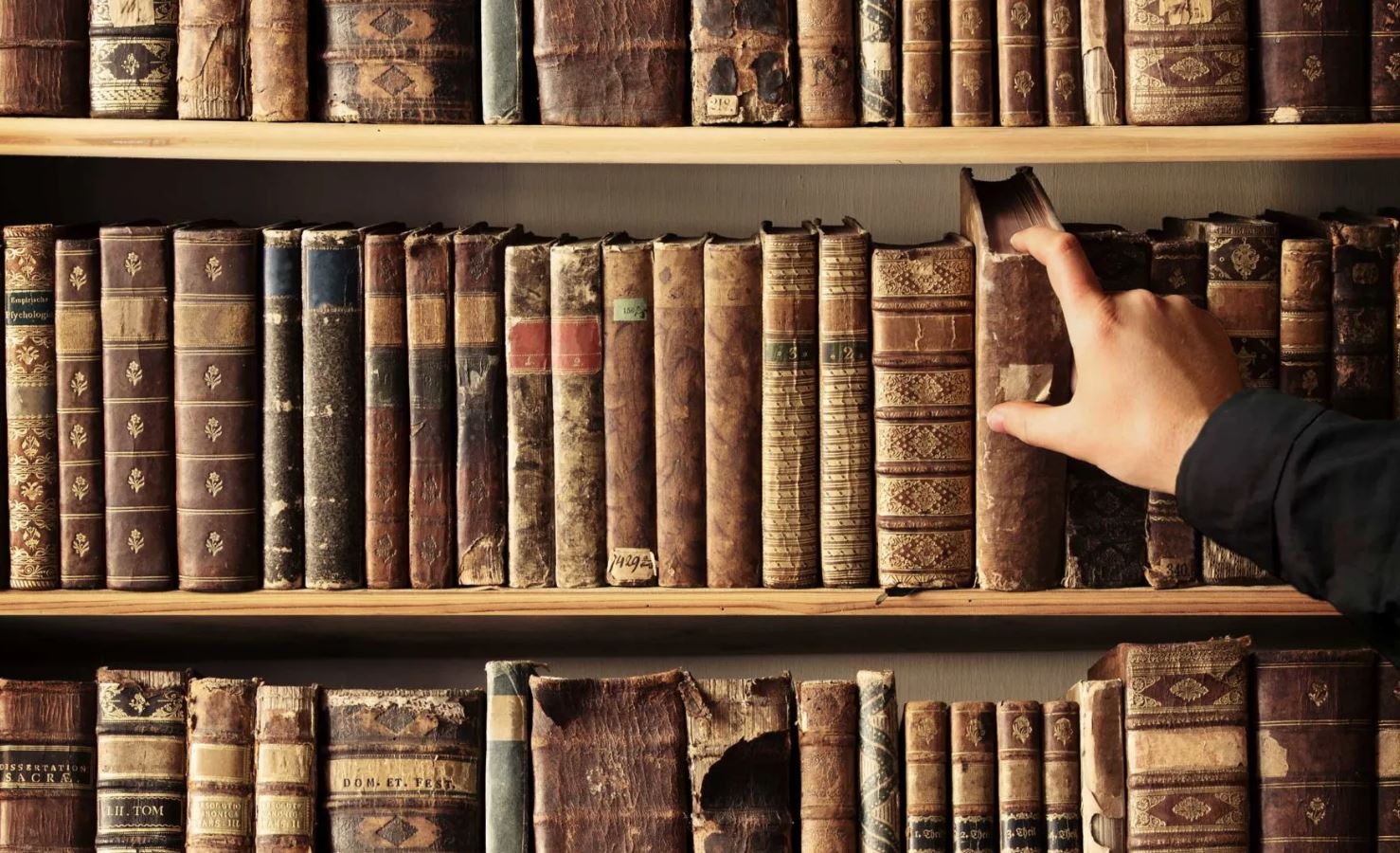 The Library That Breathes Between Worlds